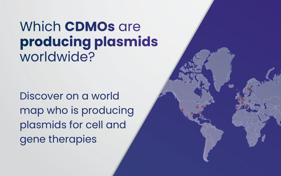 Plasmid manufacturing capacity around the world